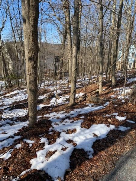 West Milford Twp., NJ 07421,43 Hampton Rd