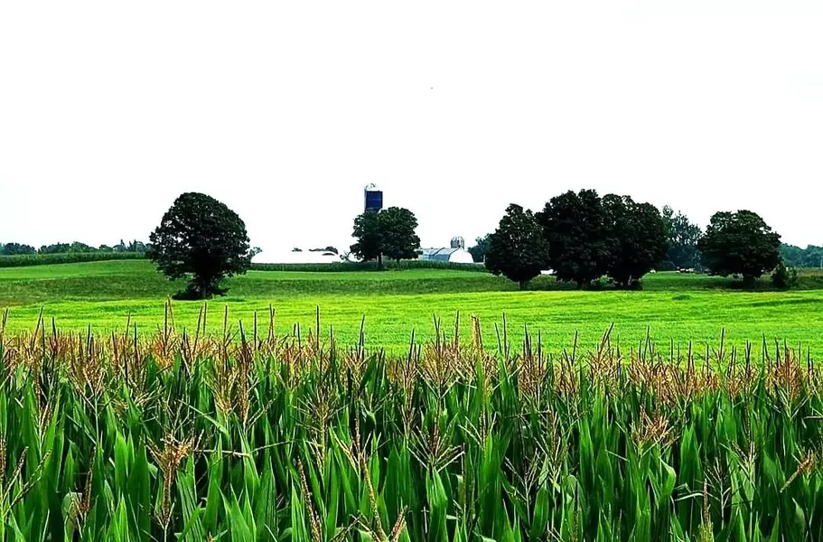 173 (B) Card RD, Stone Mills, ON K0K 3N0