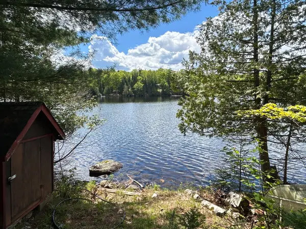 Minden Hills, ON K0M 2K0,1202 Poverty Bay TRL