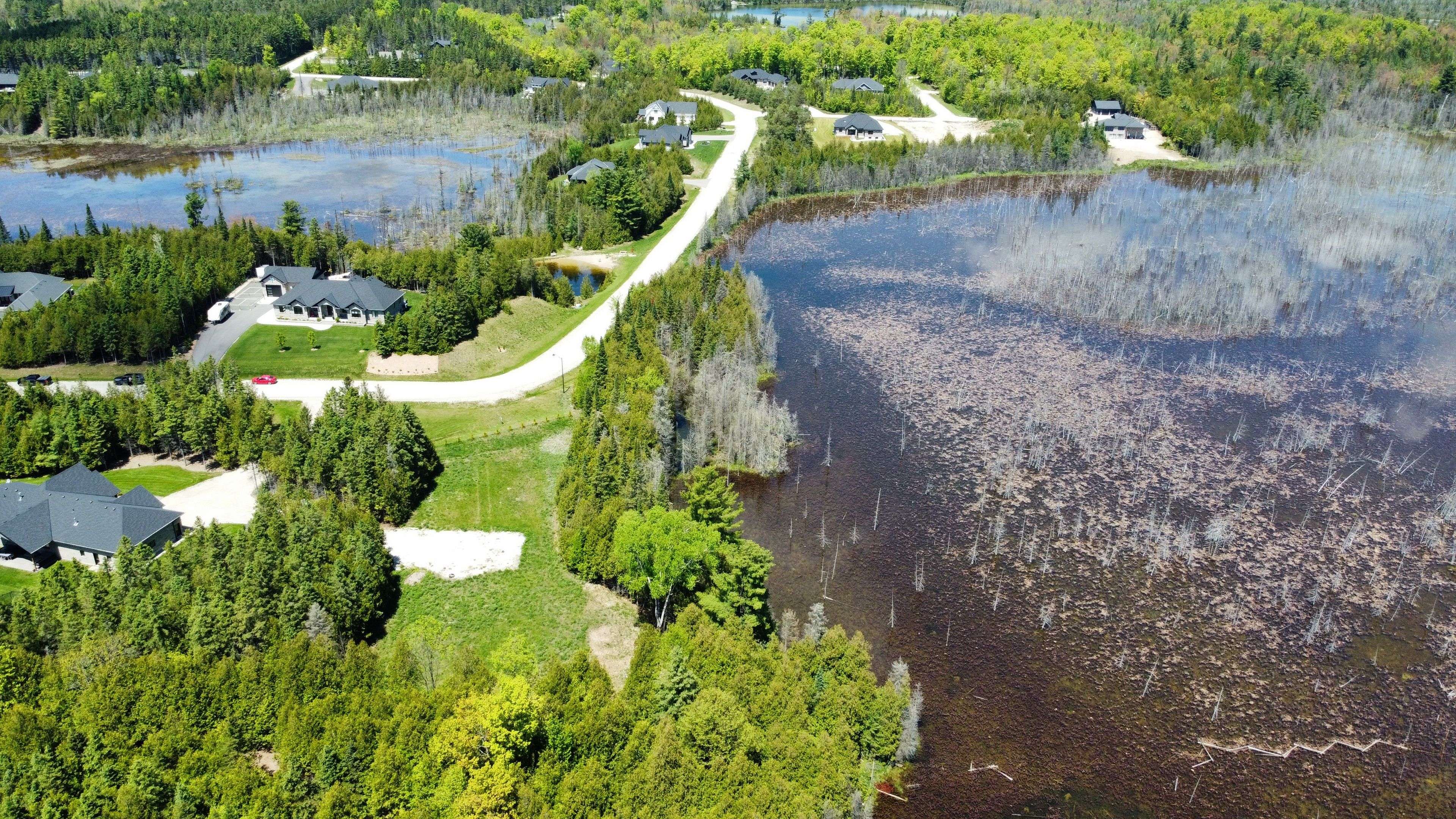 West Grey, ON N0G 1S0,BLK 65 Louise Creek CRES
