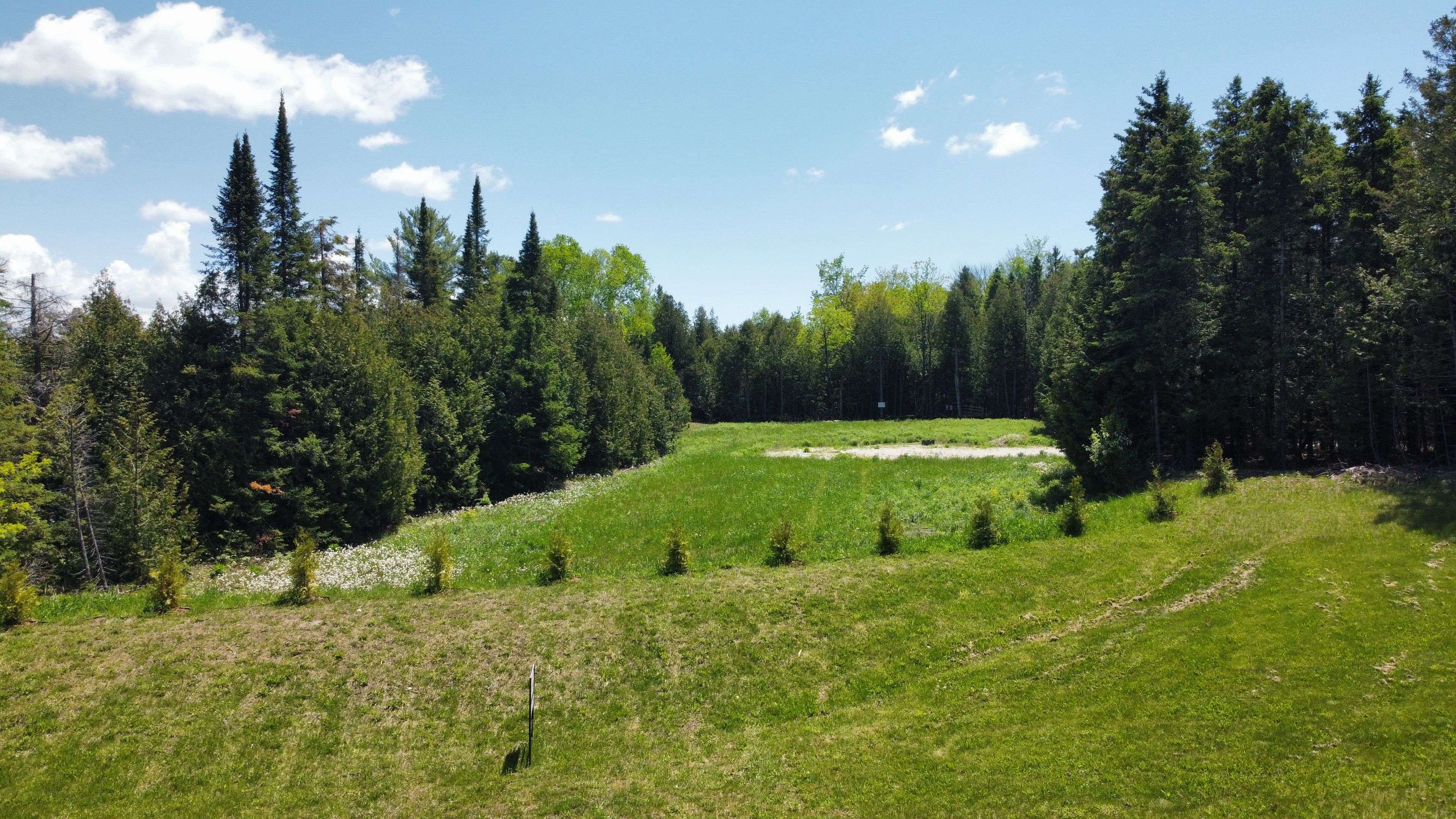 West Grey, ON N0G 1S0,BLK 65 Louise Creek CRES