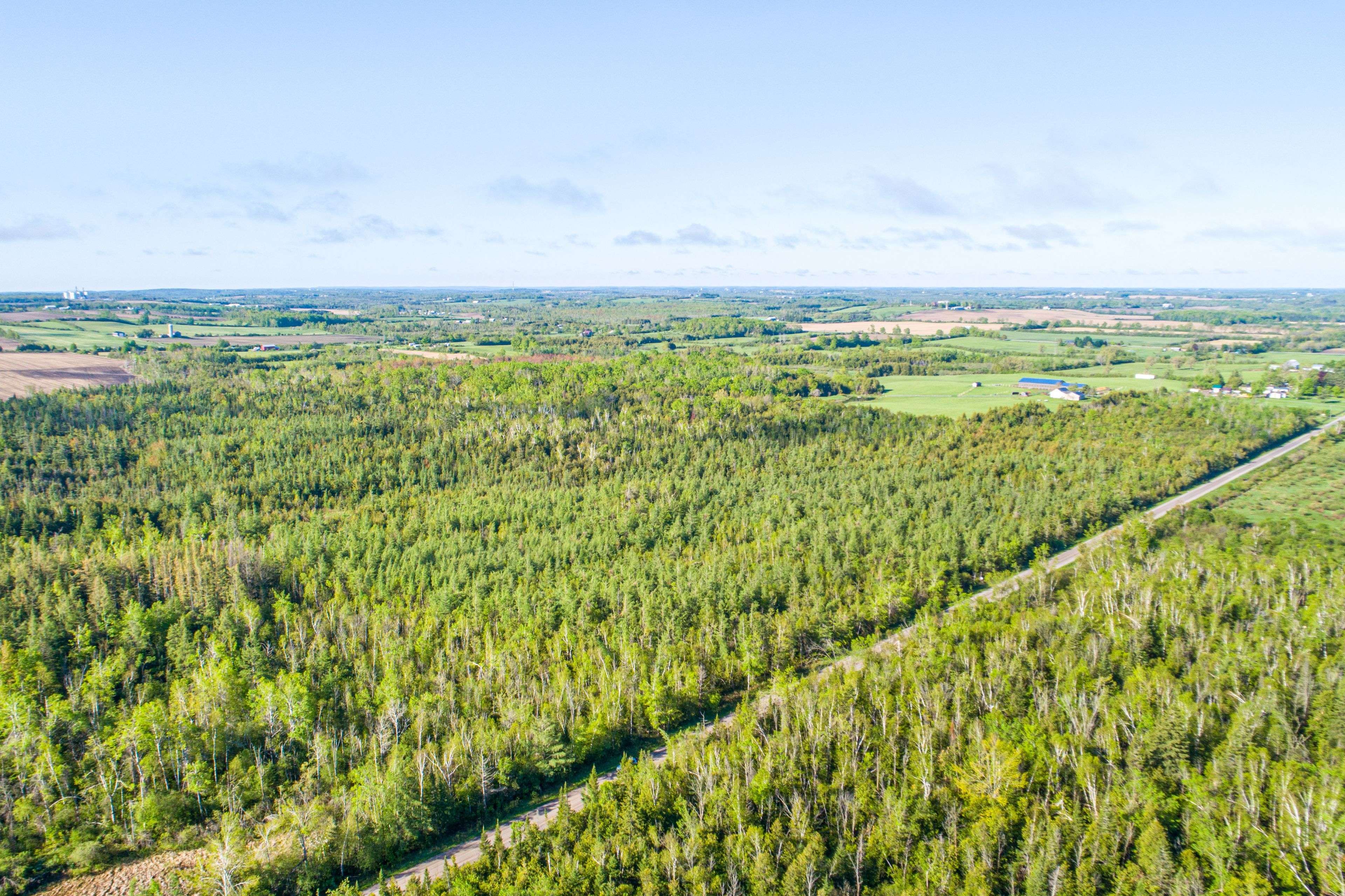 Kawartha Lakes, ON K0M 2C0,Lot 3 Black School RD