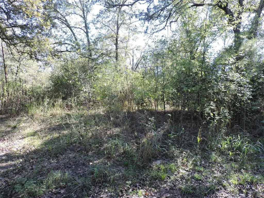 Trinidad, TX 75163,0 Tempie Road