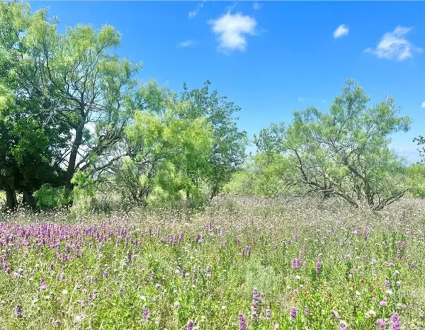 Comanche, TX 76442,LOT 59 Comanche Lake Road