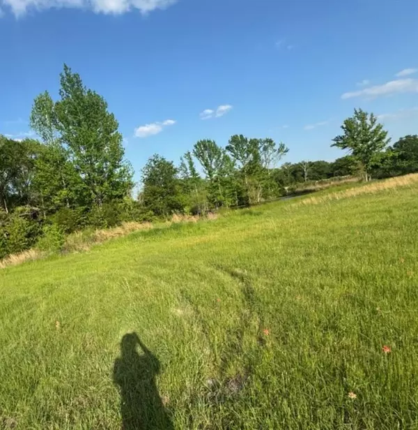 - Hwy. 64, Ben Wheeler, TX 75754