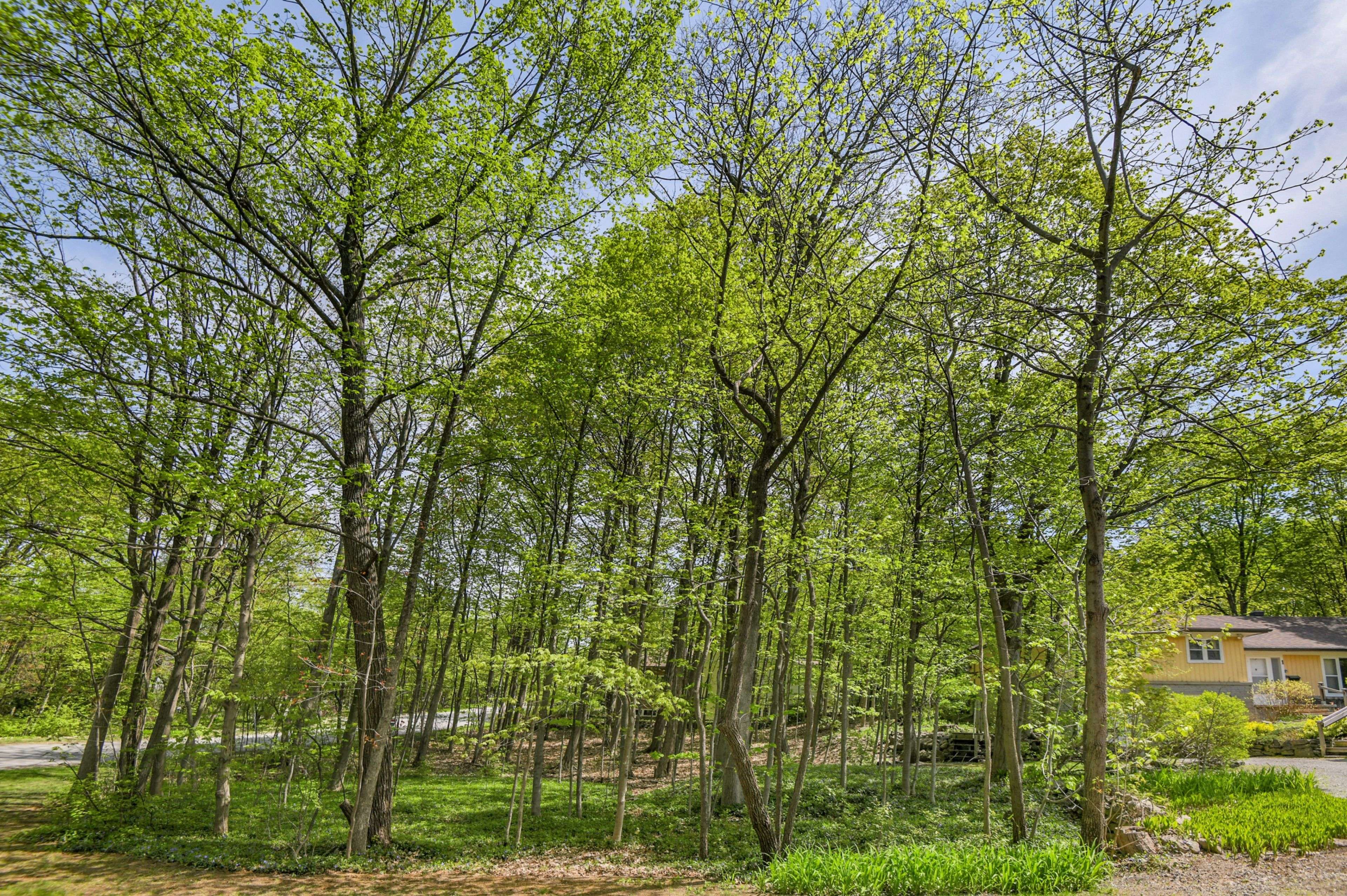 Beacon Hill North - South And Area, ON K1J 7J9,1 Amberly PL