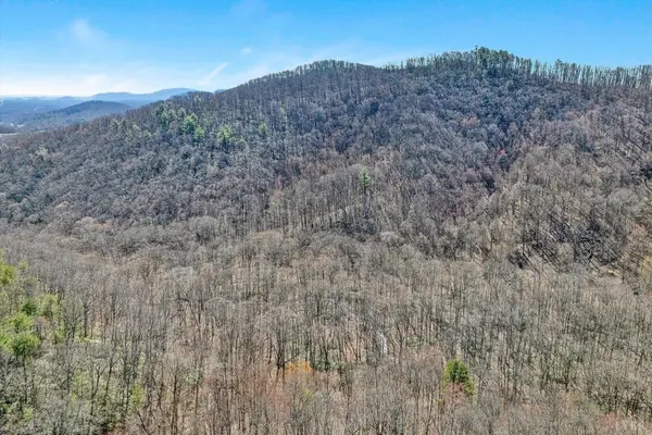 Big Island, VA 24526,1052 Timber CT