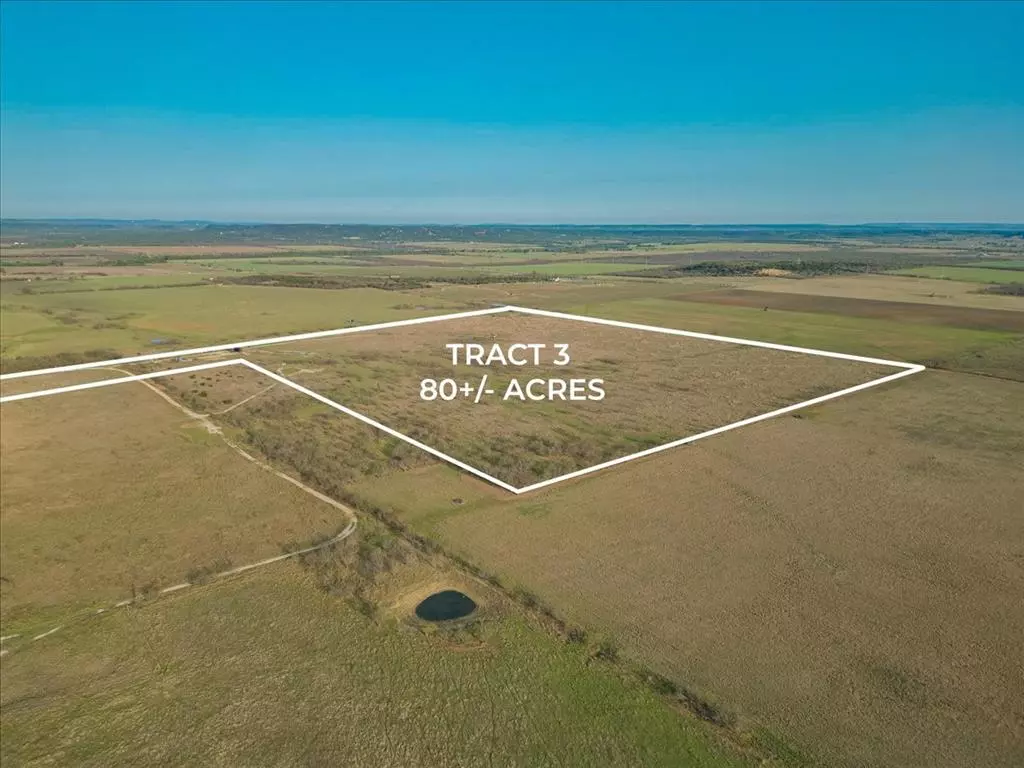 Graford, TX 76449,LOT 3 RR Grassy Ridge Road