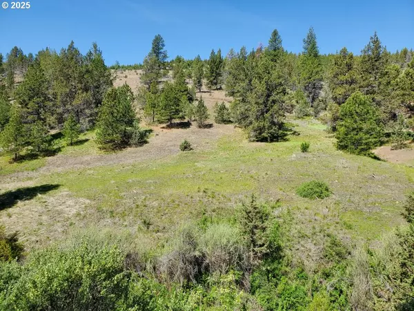 Dayville, OR 97825,WILEY CREEK ROAD