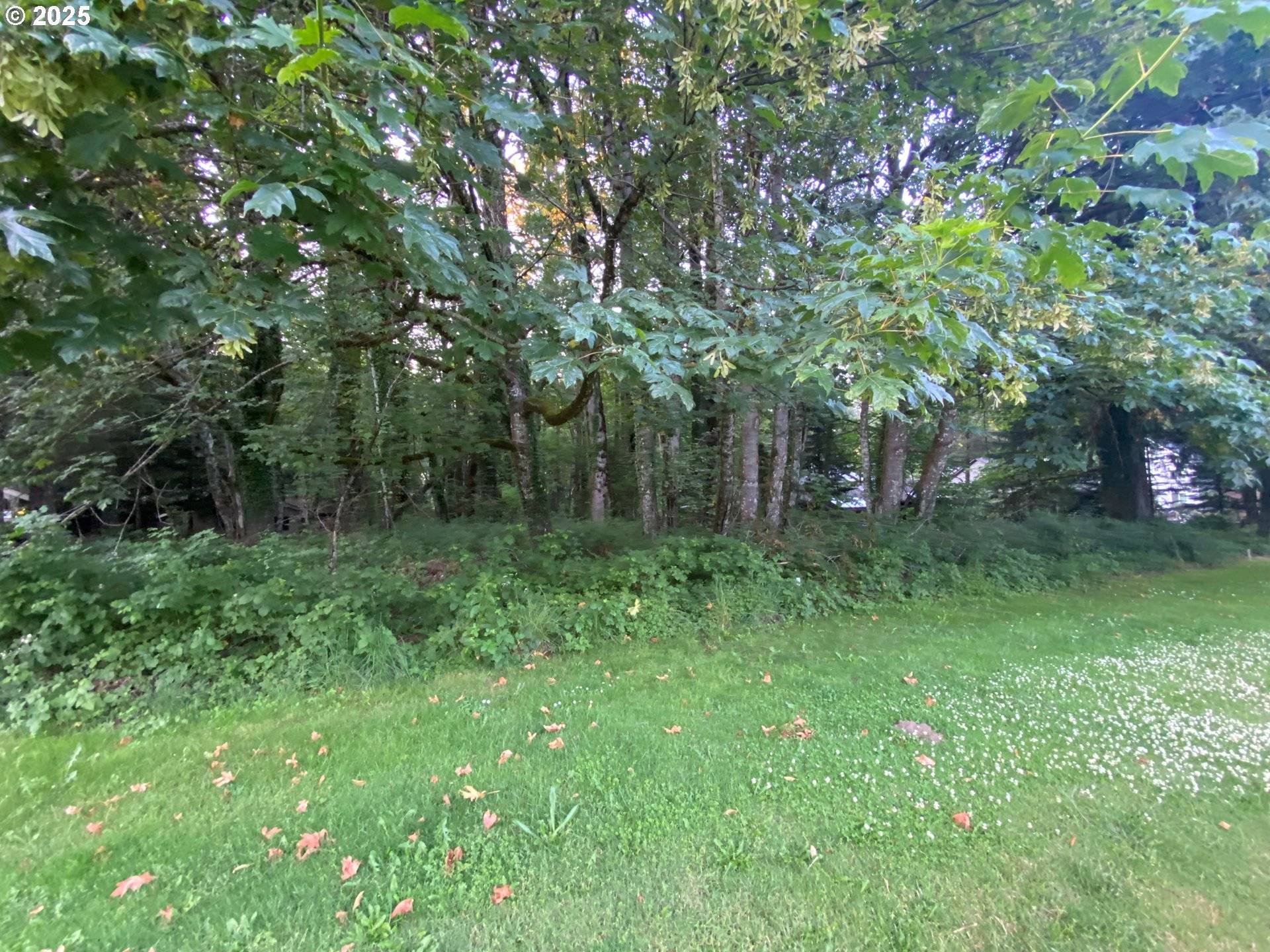 Welches, OR 97067,24557 E BRIGHT AVE