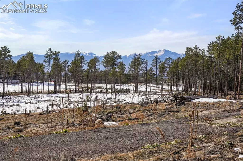 Colorado Springs, CO 80908,01 Wyandott DR