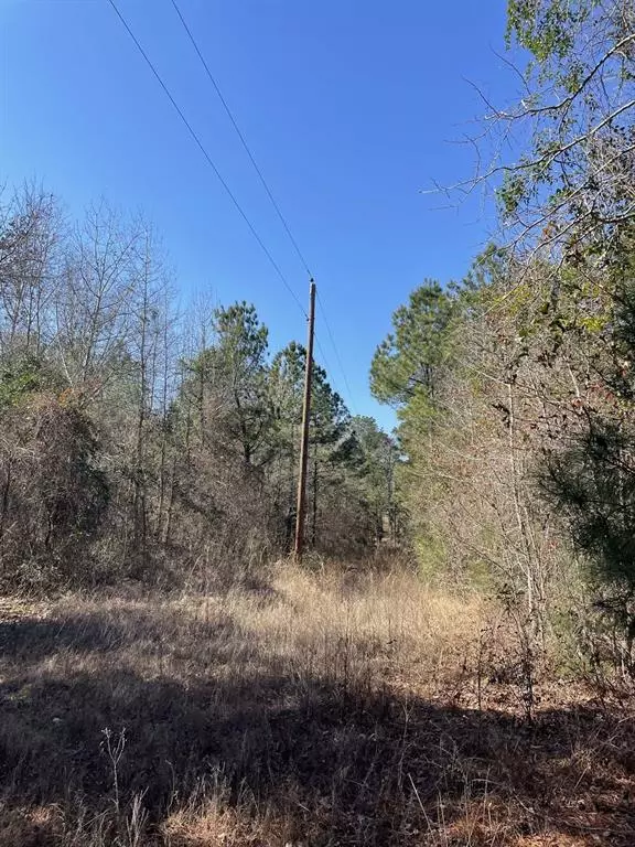 Winona, TX 75792,17584 Fm 1252
