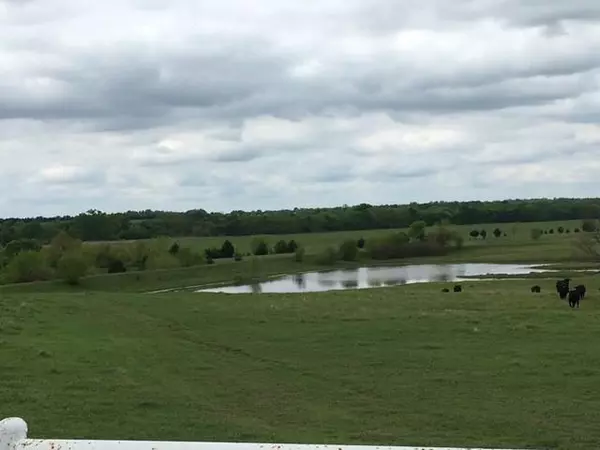 Roxton, TX 75477,00 Farm Road 2675