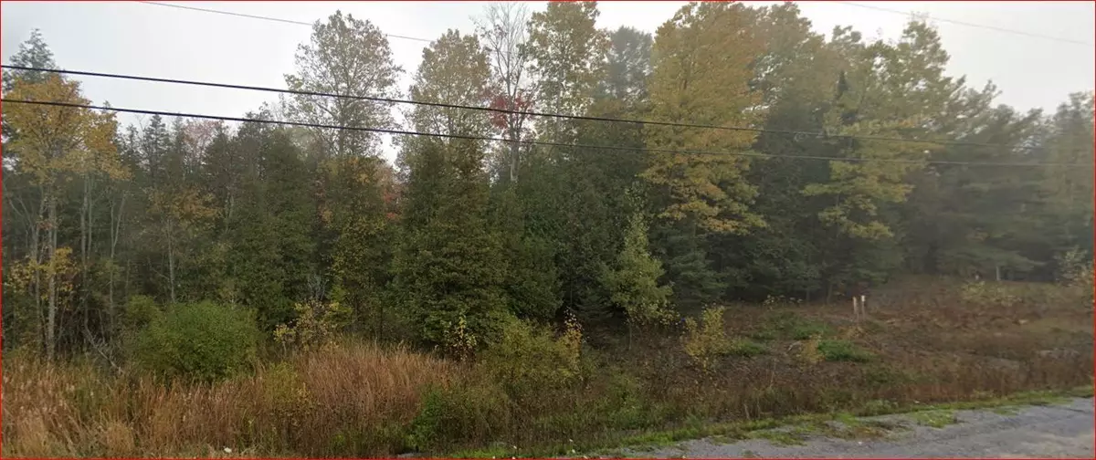 Tudor & Cashel, ON K0K 1Y0,18362 Highway 62 N/A