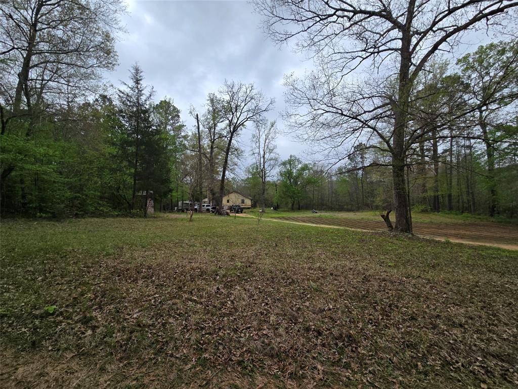500 Private Road 171 #CR1754, Linden, TX 75563