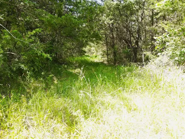 Terrell, TX 75161,12975 Cr-316