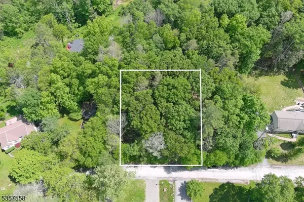 229 Old Chimney Ridge Rd, Montague Twp., NJ 07827