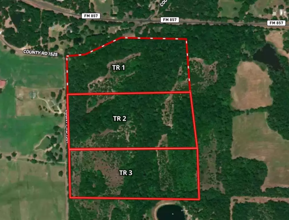 Grand Saline, TX 75140,Tract 2 TBD VZCR 1507