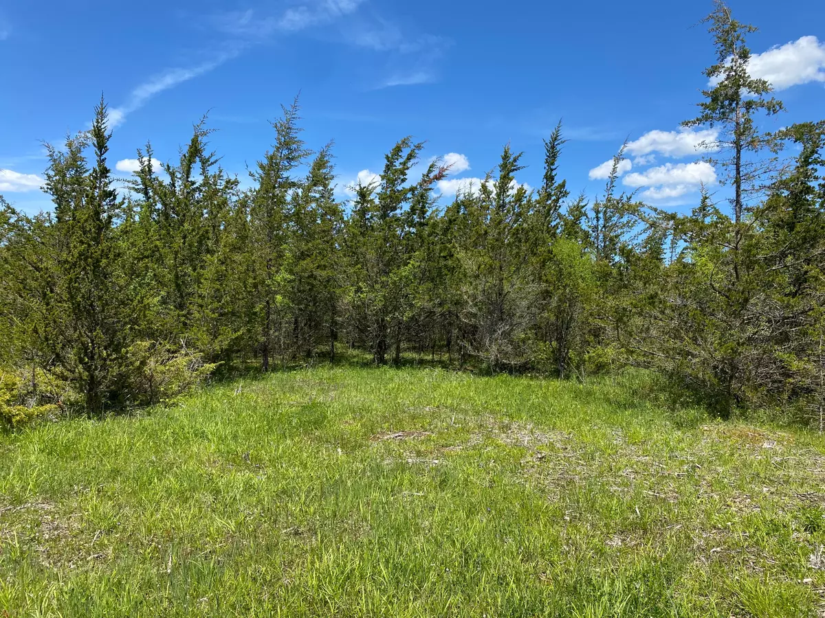 Stone Mills, ON K0K 3N0,103 (LOT 2) Galbraith Grove RD