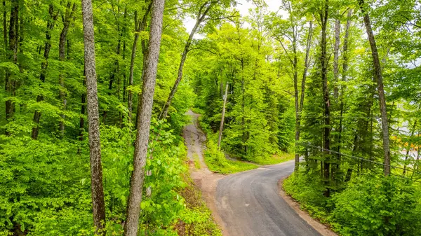 Dysart Et Al, ON K0L 3C0,0 Grace River RD