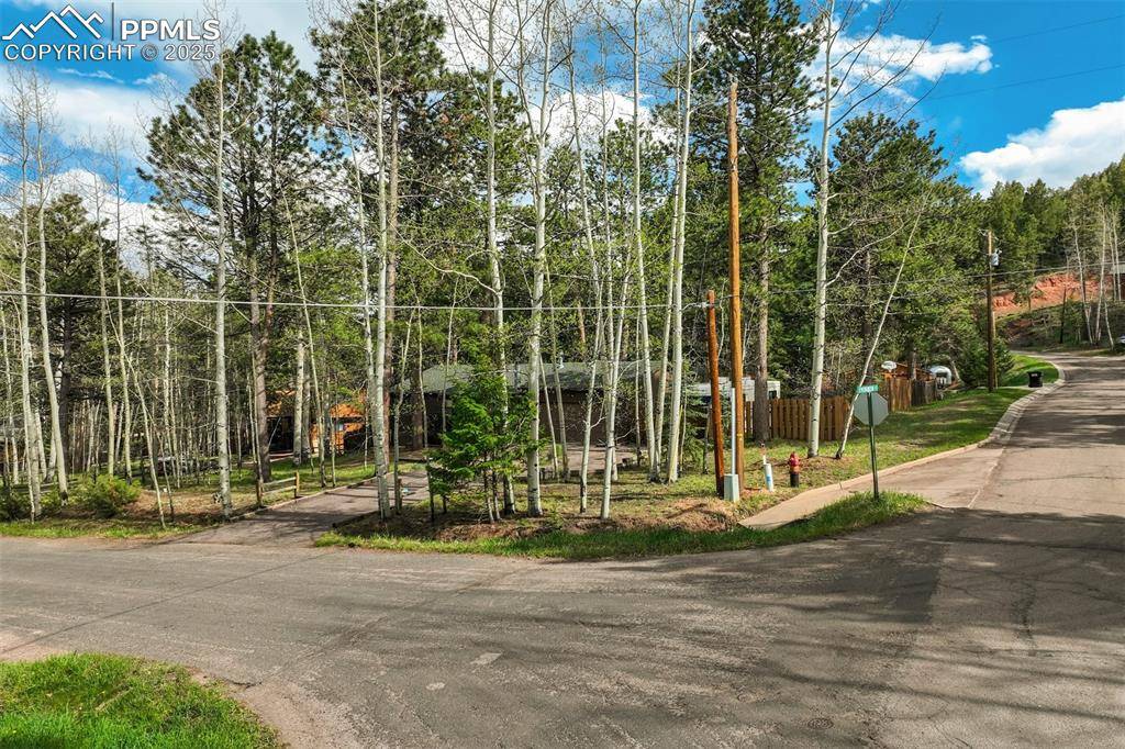 Woodland Park, CO 80863,1015 Lafayette AVE
