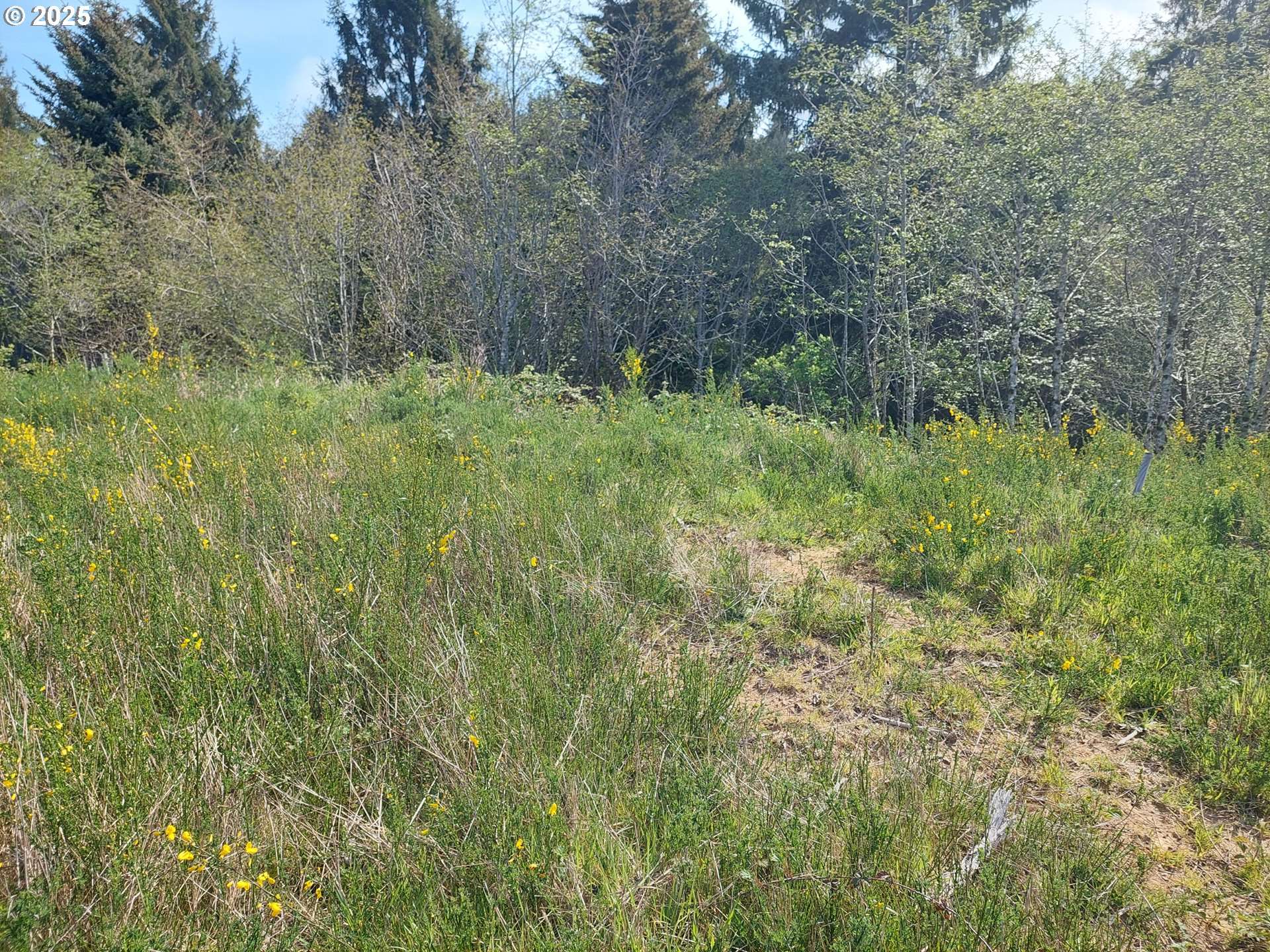 Lincoln City, OR 97367,Parcel1 NE 55th PL