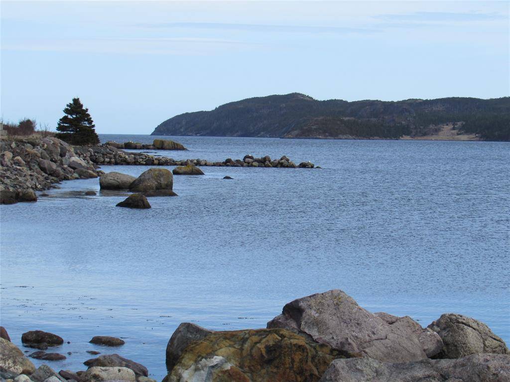 Colliers, NL A0A 1Y0,33 Cove Road