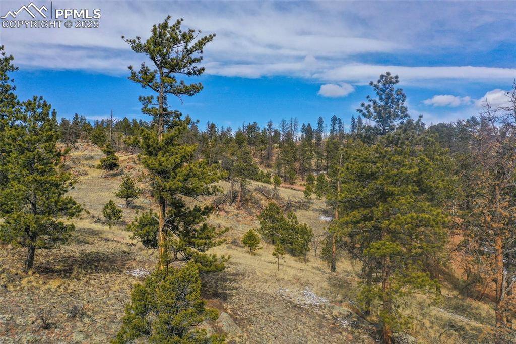 Florissant, CO 80816,397 Chateau West DR