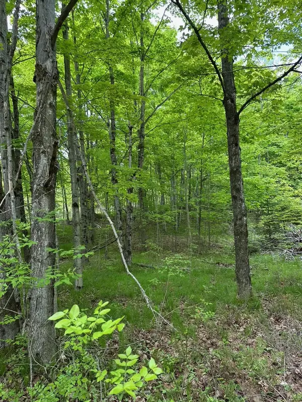 Frontenac, ON K0H 2P0,17146 Road 509 N/A
