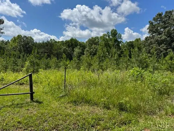 Appomattox, VA 24522,0 Mini Ball LN