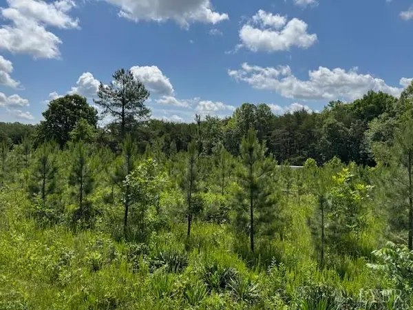 Appomattox, VA 24522,0 Mini Ball LN