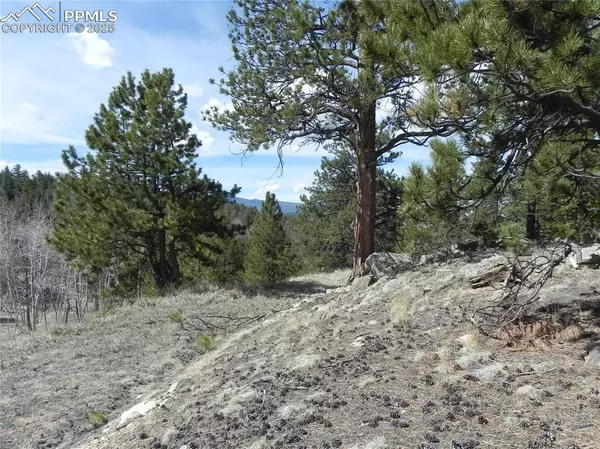 160 Broken Arrow PATH, Lake George, CO 80827