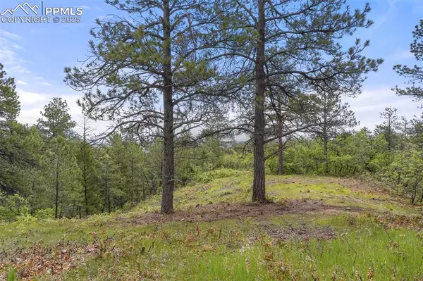 2054 Stratton Forest HTS, Colorado Springs, CO 80906