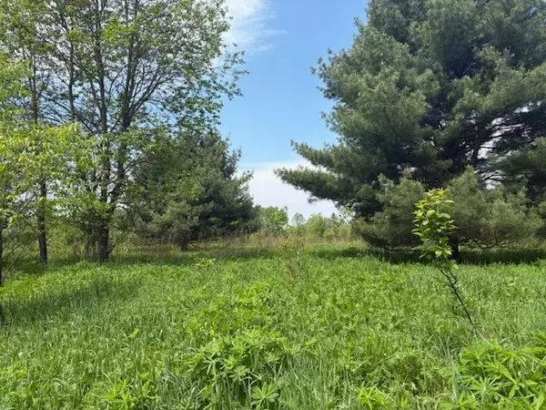 Huntsville, ON P1H 1L6,351 Ravenscliffe RD