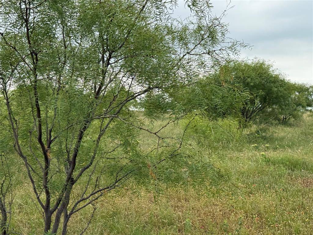 Graham, TX 76450,0000 Turtle Hole Rd. Road