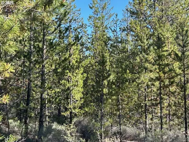 Forest Service RD, Gilchrist, OR 97737