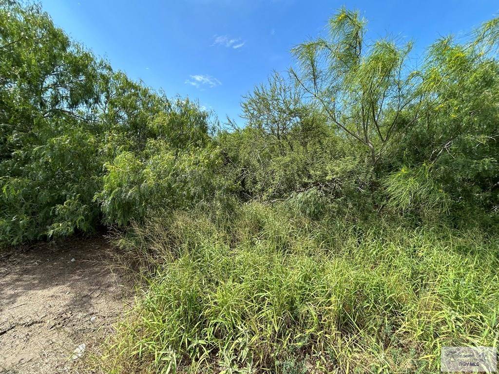 Bayview, TX 78566,36661 PEREZ RD.