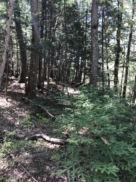 10 parker bay RD, Whitestone, ON P0G 0G0