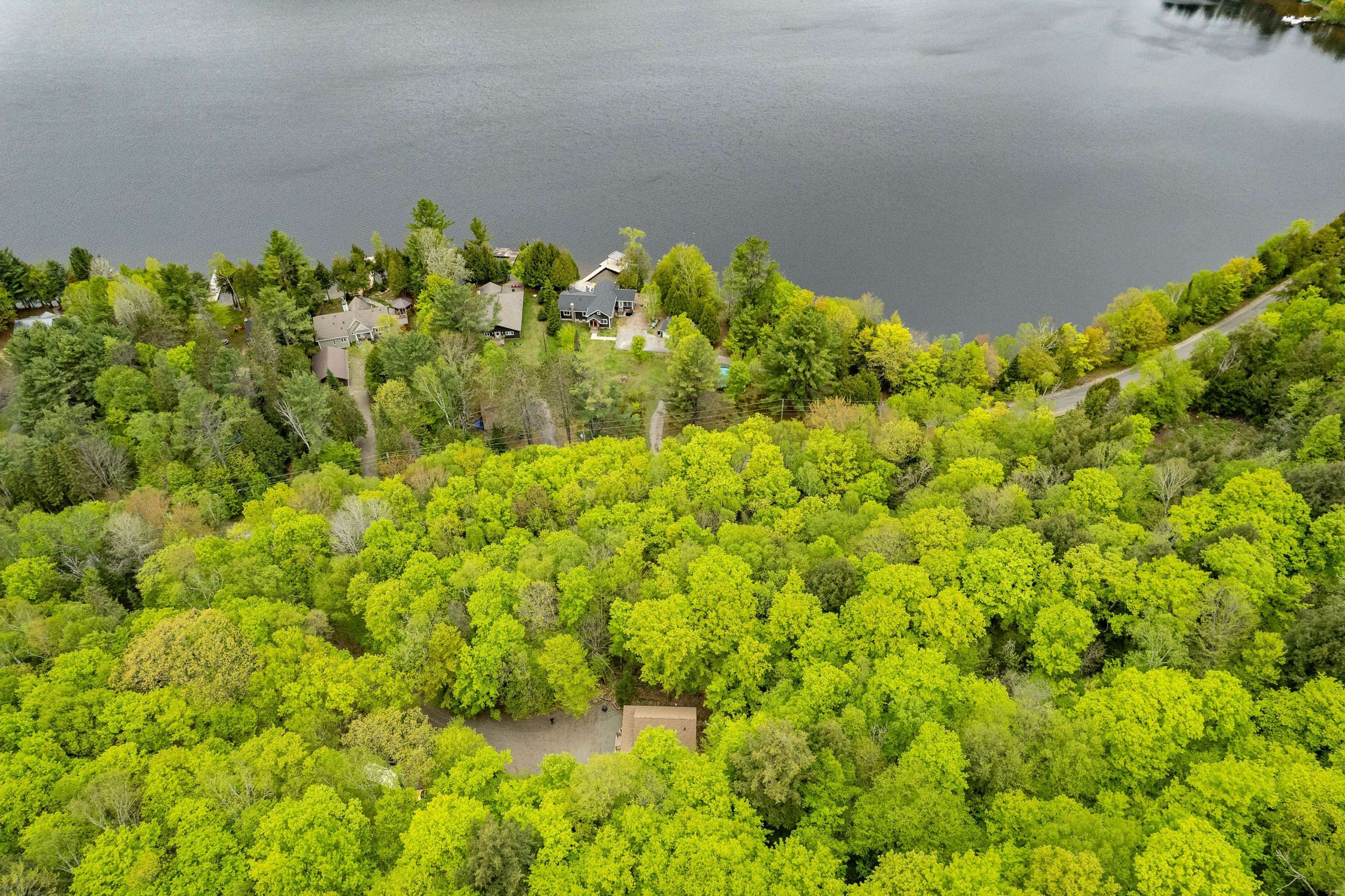 Lake Of Bays, ON P0A 1E0,1175 Paint Lake RD