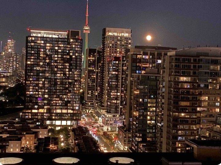 150 East Liberty ST #2105, Toronto C01, ON M6K 3R5