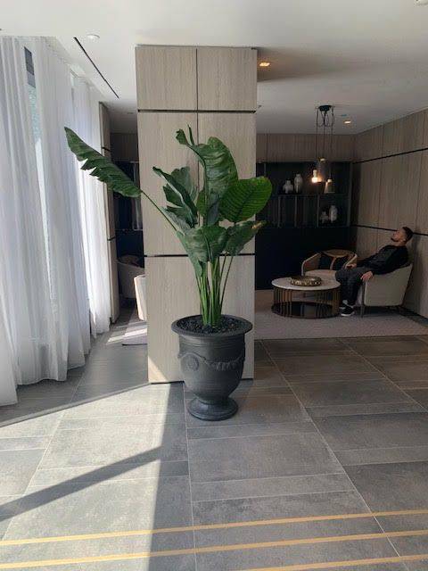 Toronto C08, ON M5B 0C8,319 Jarvis ST #1701