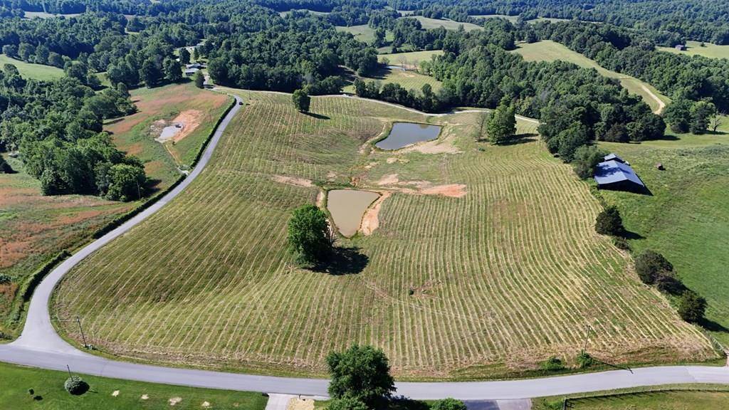 Tract #2 Legacy Trace, Burkesville, KY 42717