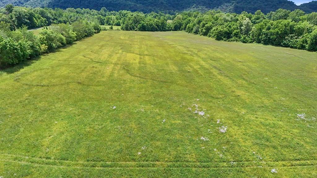 Burkesville, KY 42717,Tract#24 River's Edge