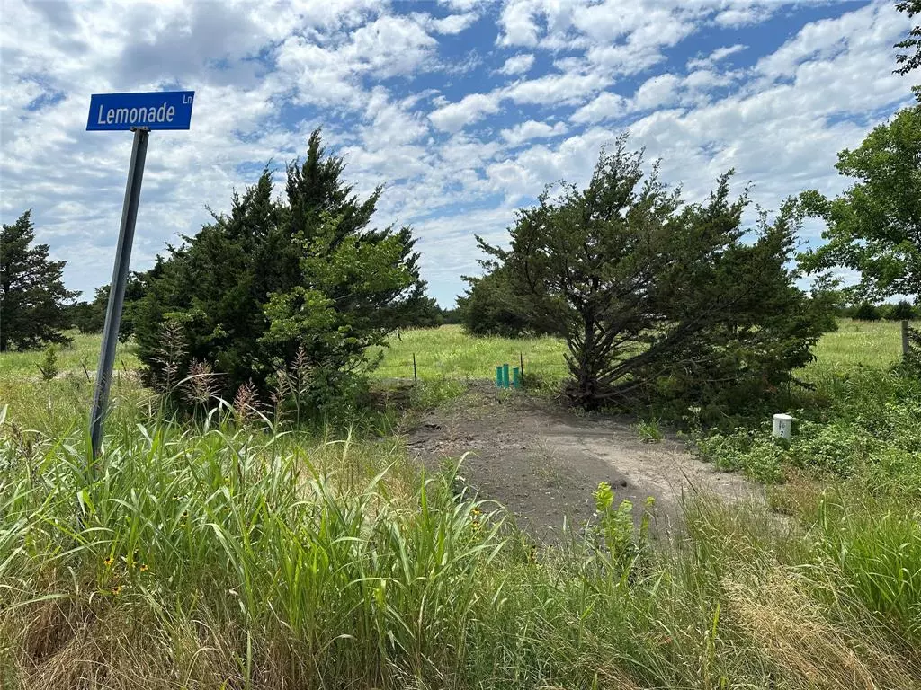 Farmersville, TX 75442,Lot 7 Lemonade Ln.