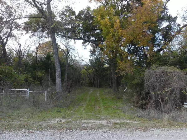 Forestburg, TX 76239,TBD School House Road