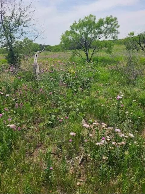 5860 County Road 423, Cisco, TX 76437