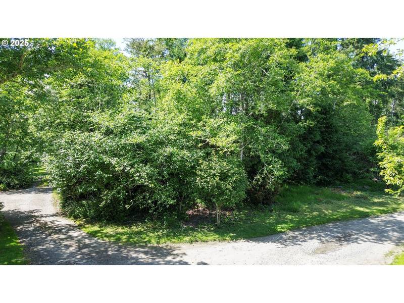 Y LN #11-12, Ocean Park, WA 98640