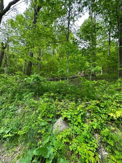 Mouth Of Wilson, VA 24348,TBD Highlands Parkway