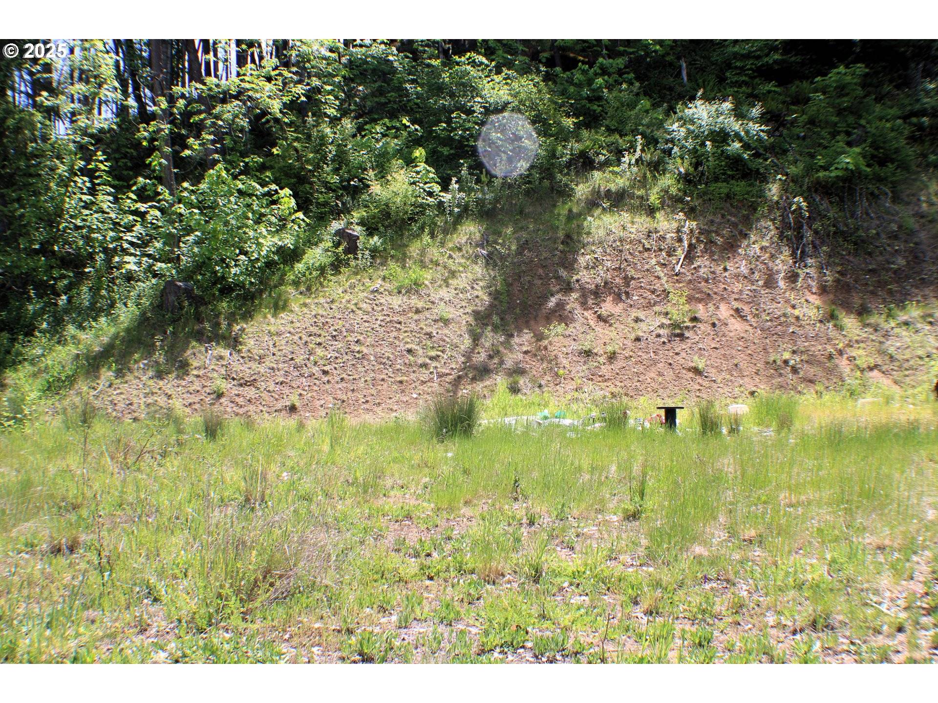 Riddle, OR 97469,1482 CANYONVILLE RIDDLE RD
