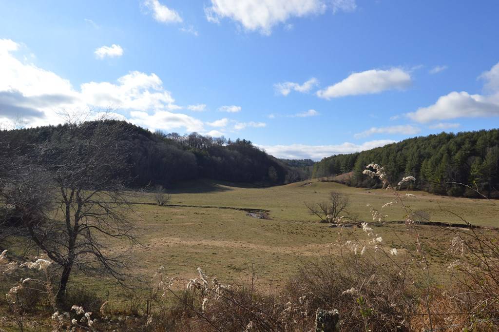Mouth Of Wilson, VA 24363,TBD Redgate Drive